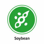 Allergen icon: Soybean