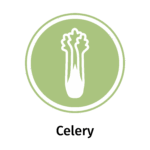 Allergen icon: Celery