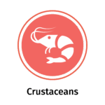 Allergen icon: Crustaceans