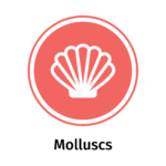 Allergen icon: Molluscs