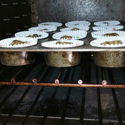 Spiced fruit muffins in the oven