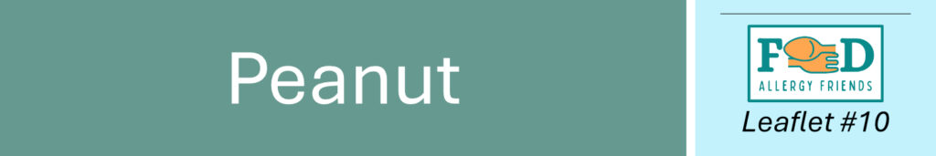The 14 Allergens. No 10: Peanut Header