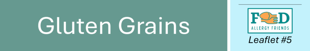 The 14 Allergens. No 5: Gluten Grains. Header image.