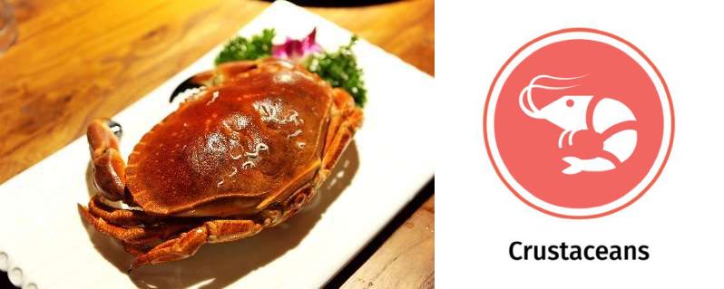 The 14 Allergens: Images of a crab and the crustaceans allergy icon.