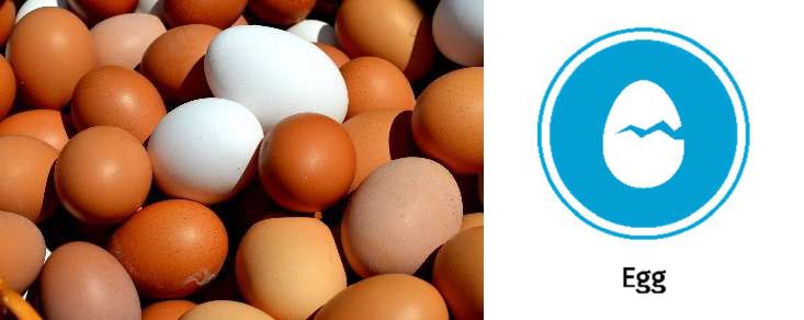 The 14 Allergens: Images of eggs and the egg allergy icon.