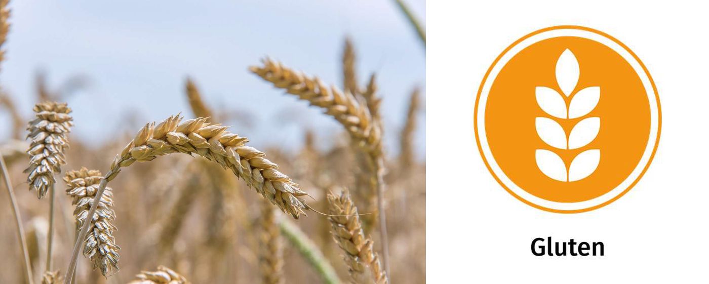 The 14 Allergens: Images of wheat and the gluten allergy icon.