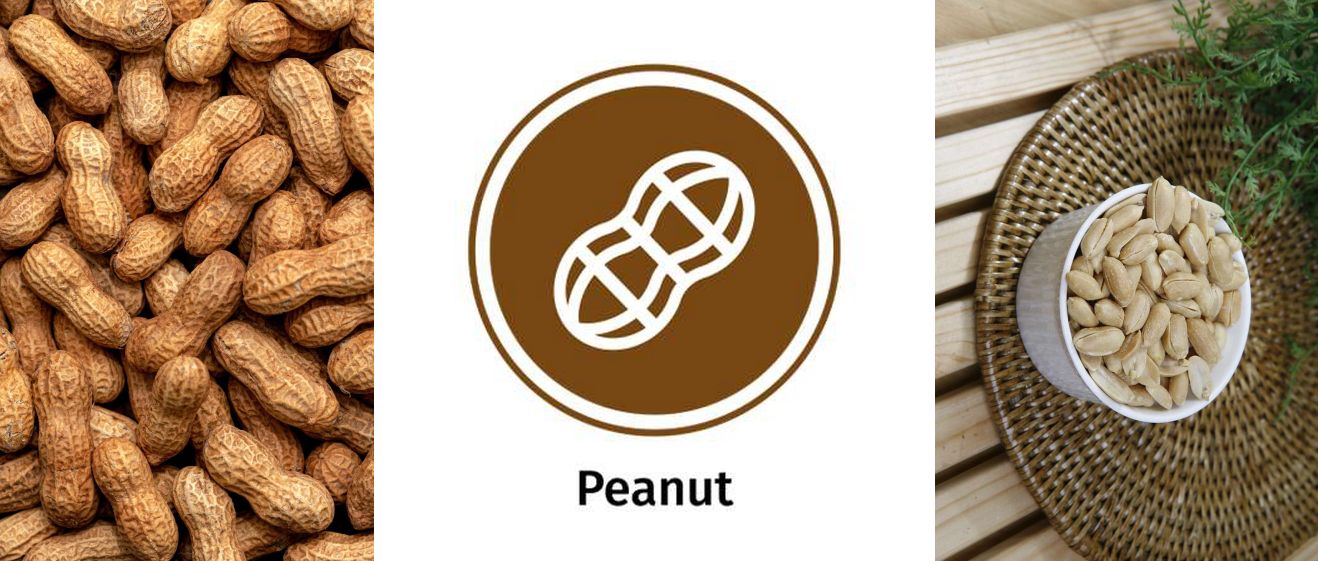 The 14 Allergens: Images of peanuts and the peanut allergy icon.