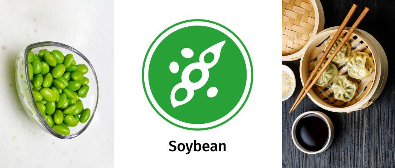 The 14 Allergens: Images of soy beans and steamed Chinese dumplings, and the soya allergy icon.