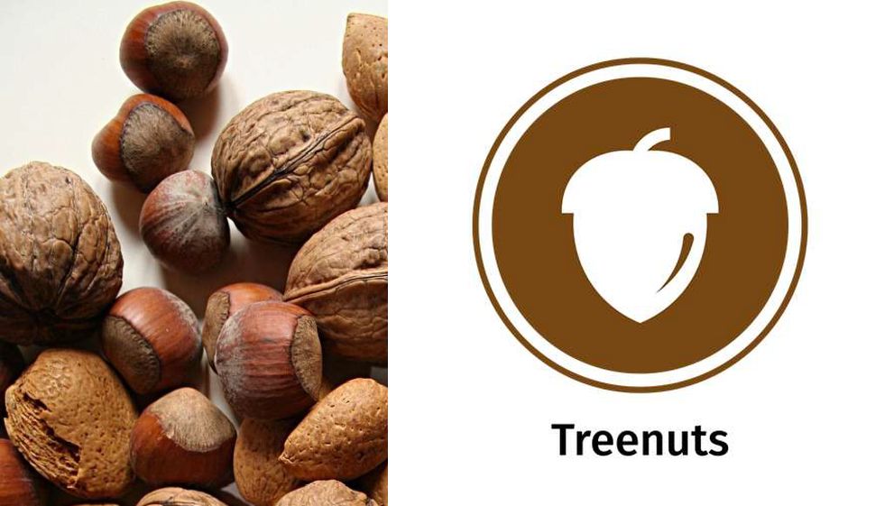 The 14 Allergens: Images of a selection of nuts, and the tree nuts allergy icon.